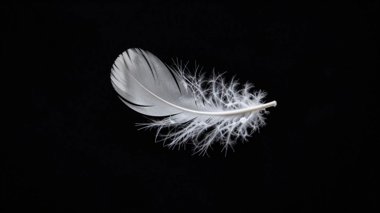 Powerful 1 Word Quotes for Your WhatsApp Status